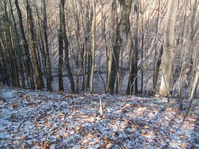 Valley Heights Road Alderson, WV 24910 - Photo 4 of 16 woods