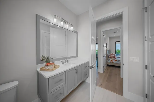 a view of a park with large trees