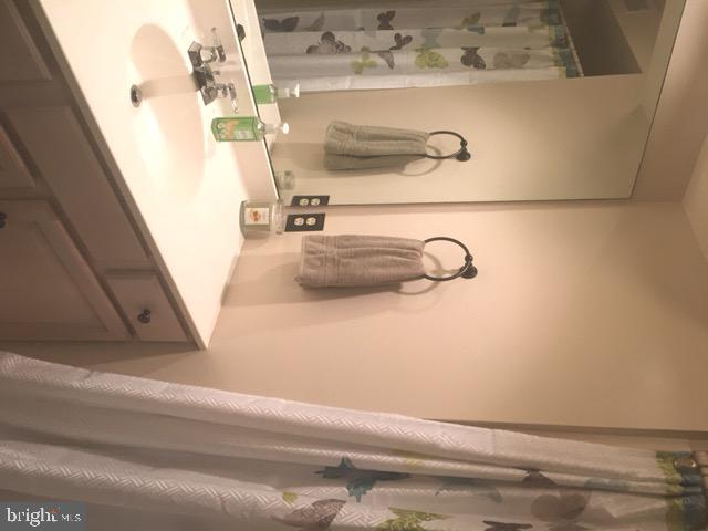 2077 C Raleigh Road, Unit C Hummelstown, PA 17036 - Photo 20 of 35 Master Bath