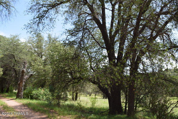Umpire Ranch Road Elgin, AZ 85611 - Photo 7 of 27