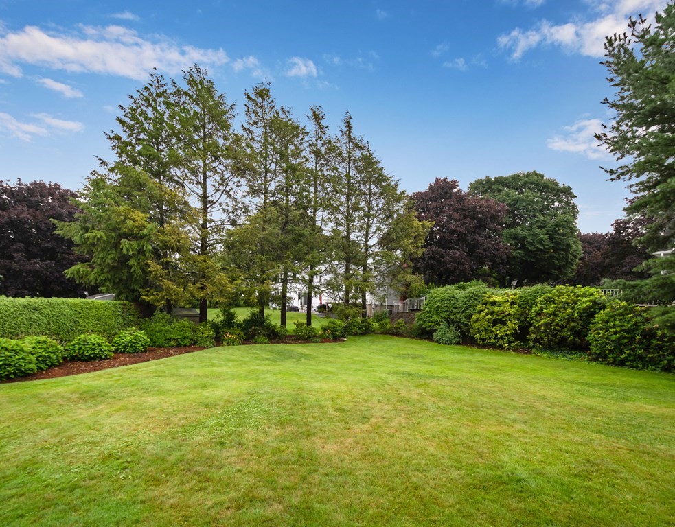 22 Plymouth Road Winchester, MA 01890 - Photo 31 of 36 Gallery Image 31