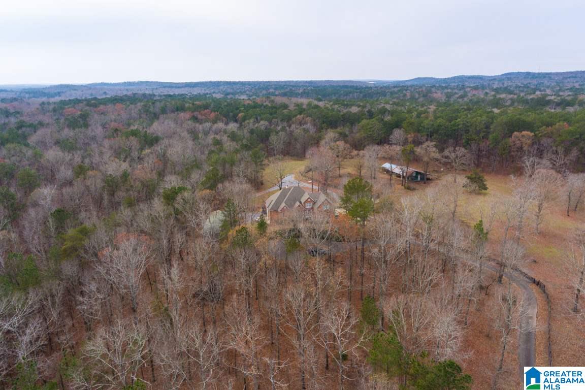 591 Deer Run Road Alabaster, AL 35007 - Photo 4 of 46 Gallery Image 4