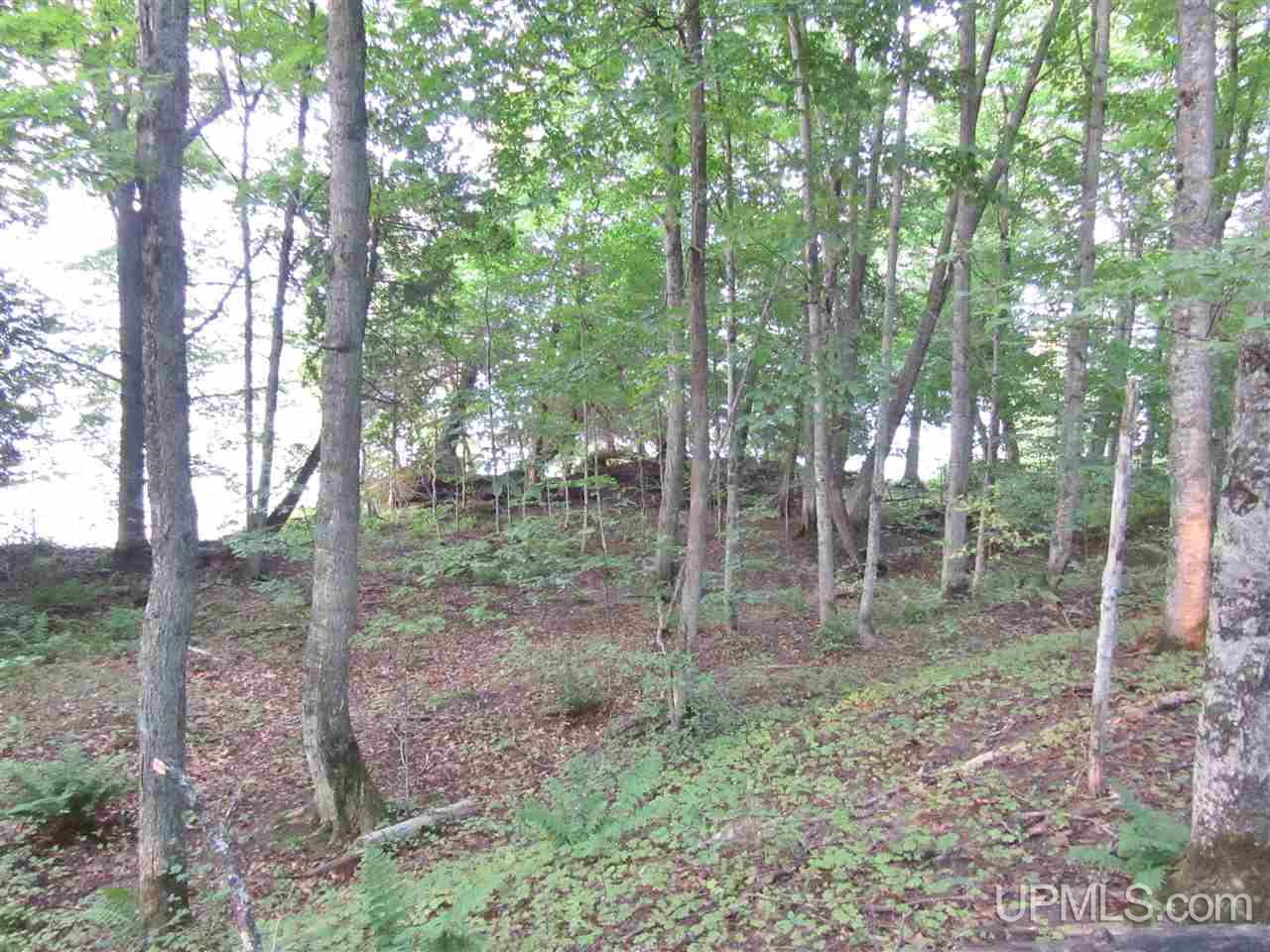 Tbd North Needle Pointe Road, Unit LOT 3 Germfask, MI 49836 - Photo 9 of 13