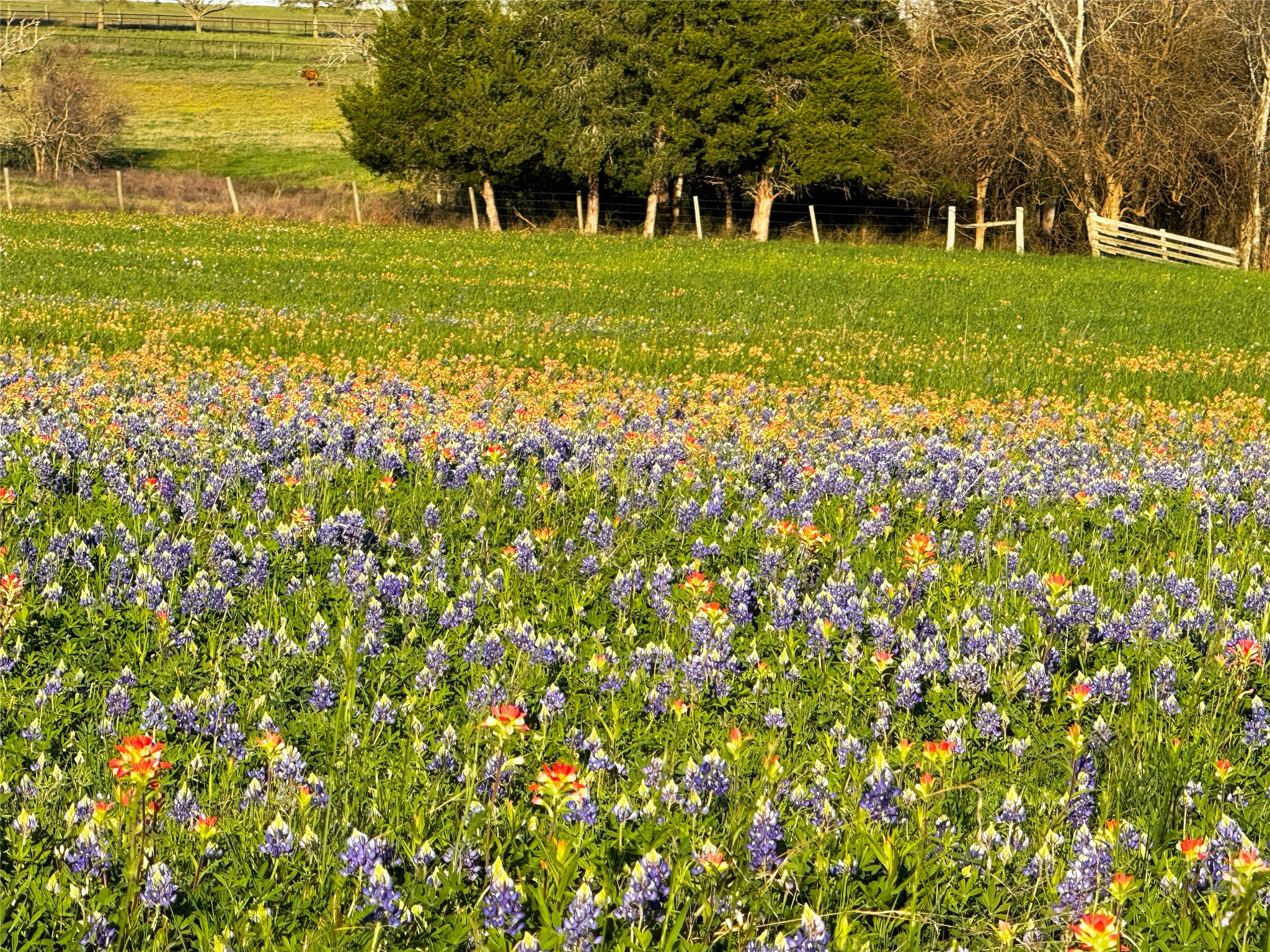 9058 Sam Houston Road Brenham, TX 77833 - Photo 49 of 49 a view of a golf course