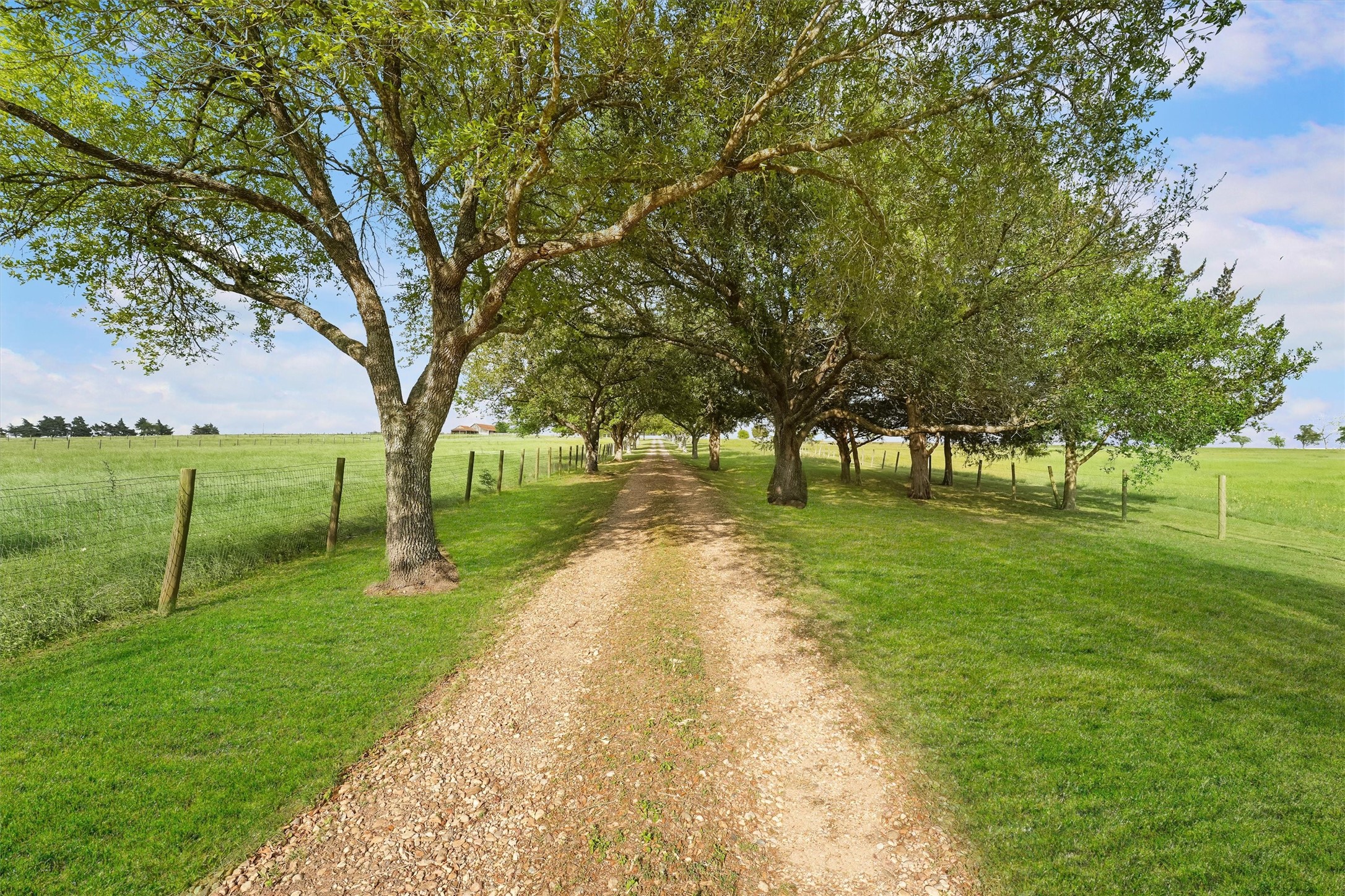 9058 Sam Houston Road Brenham, TX 77833 - Photo 5 of 49 a view of park with trees