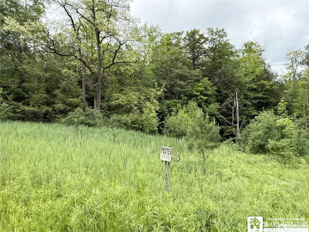 0 Luce Road Bemus Point, NY 14712 - Photo 15 of 39