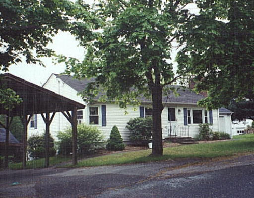 a front view of house with yard and green space