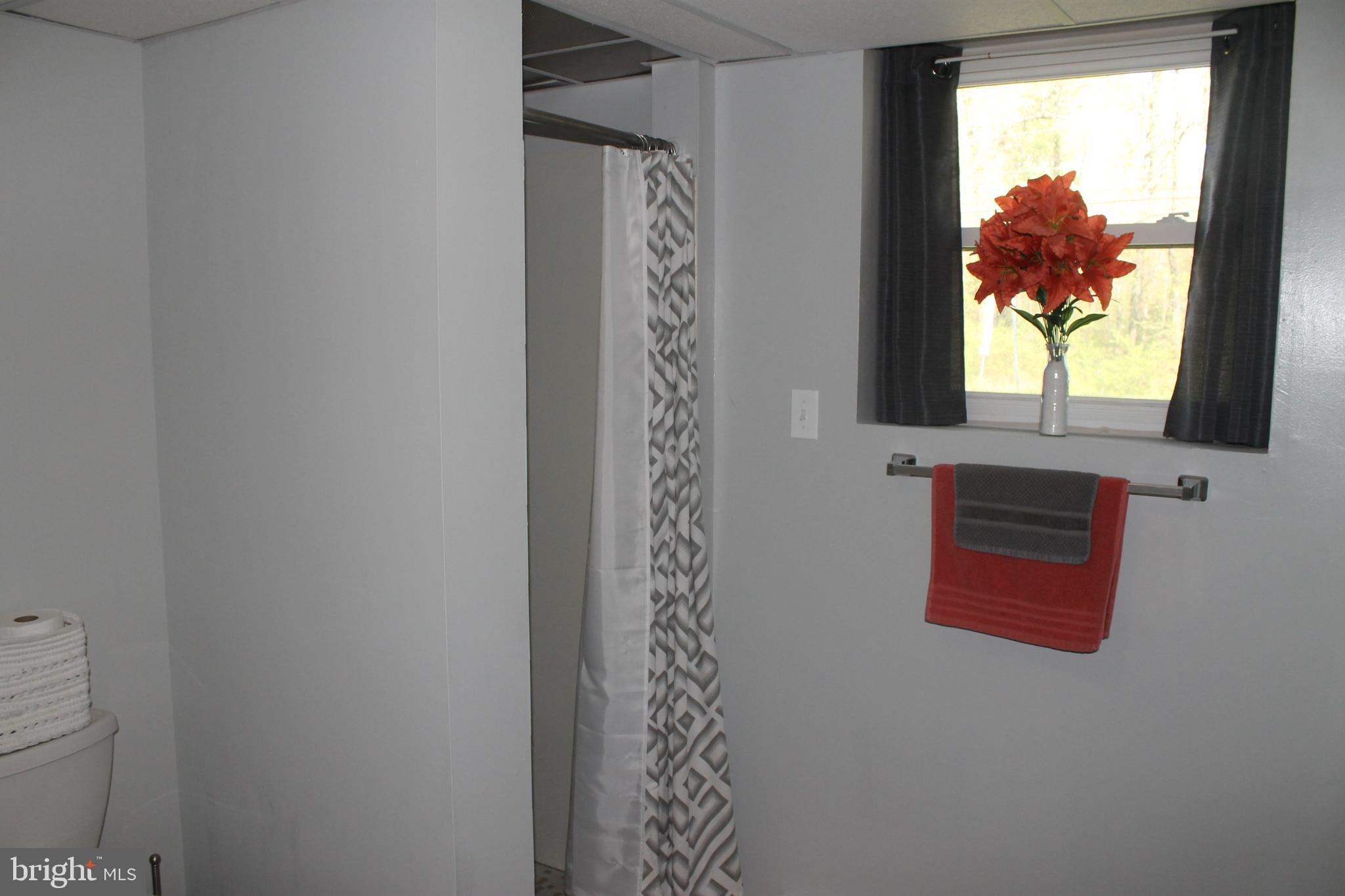 116 Burns Crossing Road Severn, MD 21144 - Photo 33 of 34 Lower level shower.
