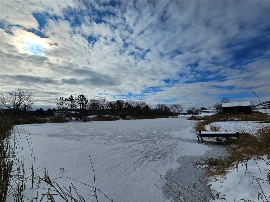 5565 Thomas Road Woodhull, NY 14898 - Photo 32 of 50