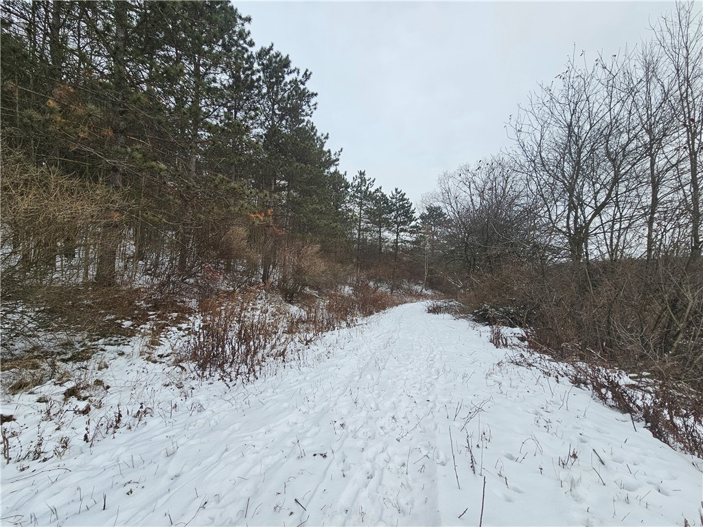 5565 Thomas Road Woodhull, NY 14898 - Photo 35 of 50