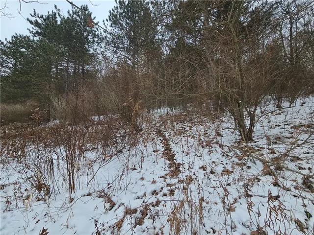 $409,900 | 5565 Thomas Road, Woodhull, NY 14898