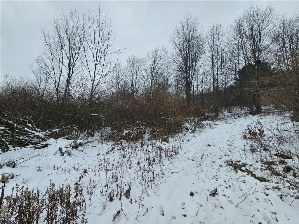 5565 Thomas Road Woodhull, NY 14898 - Photo 38 of 50