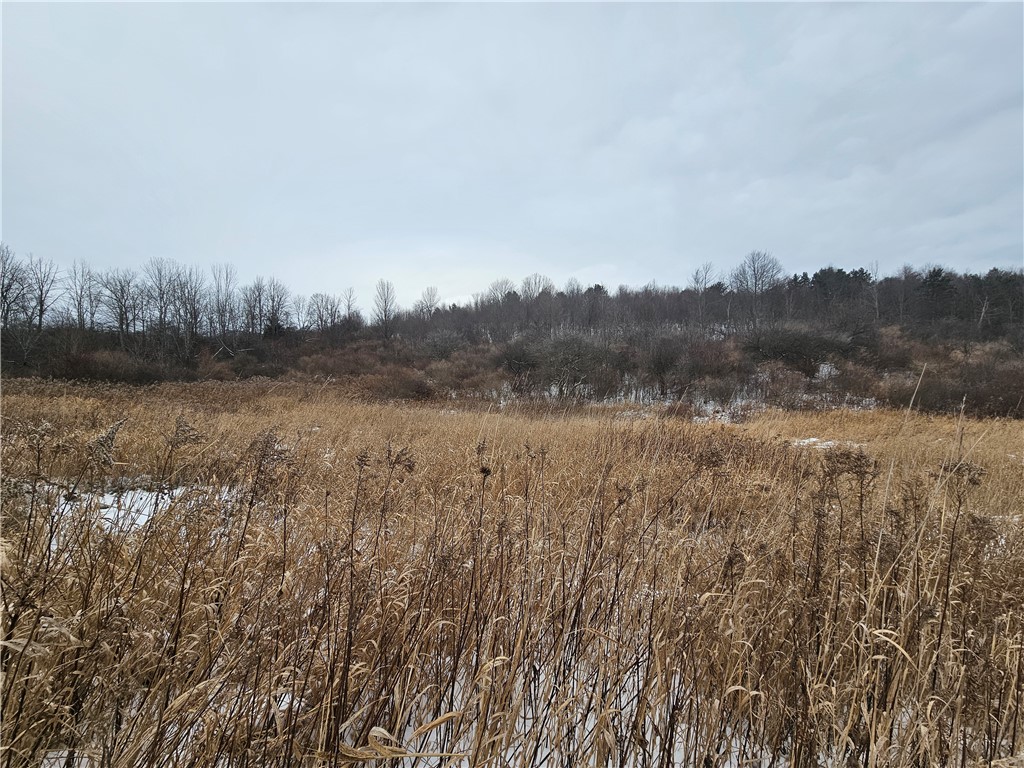 5565 Thomas Road Woodhull, NY 14898 - Photo 39 of 50