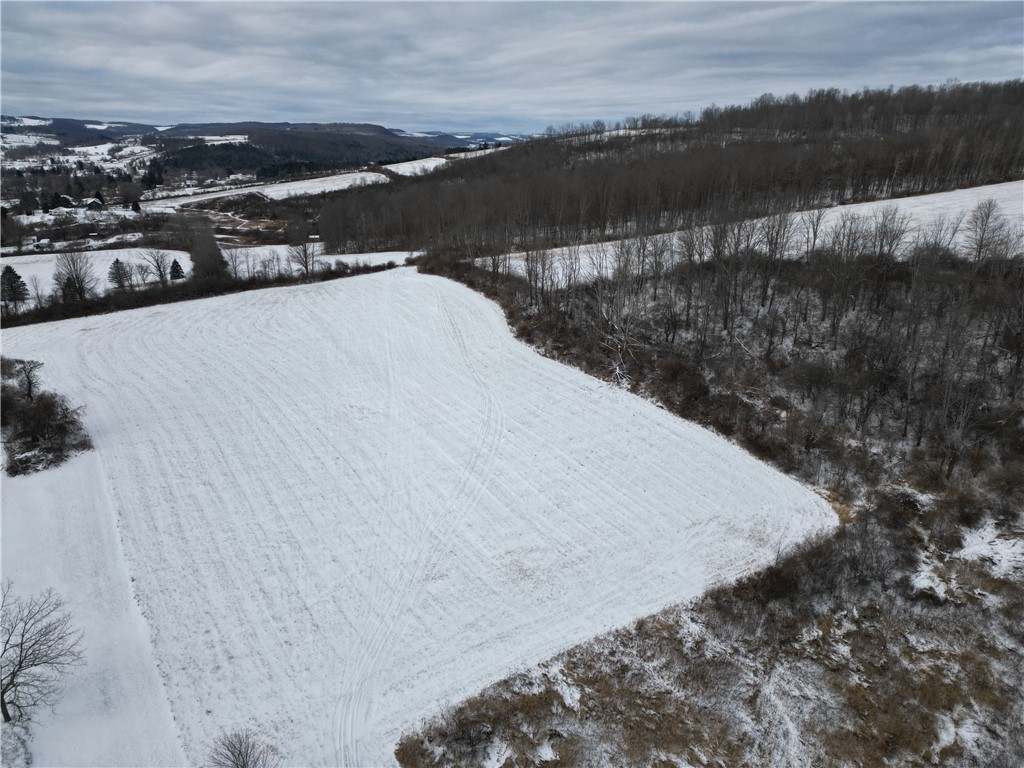 5565 Thomas Road Woodhull, NY 14898 - Photo 40 of 50