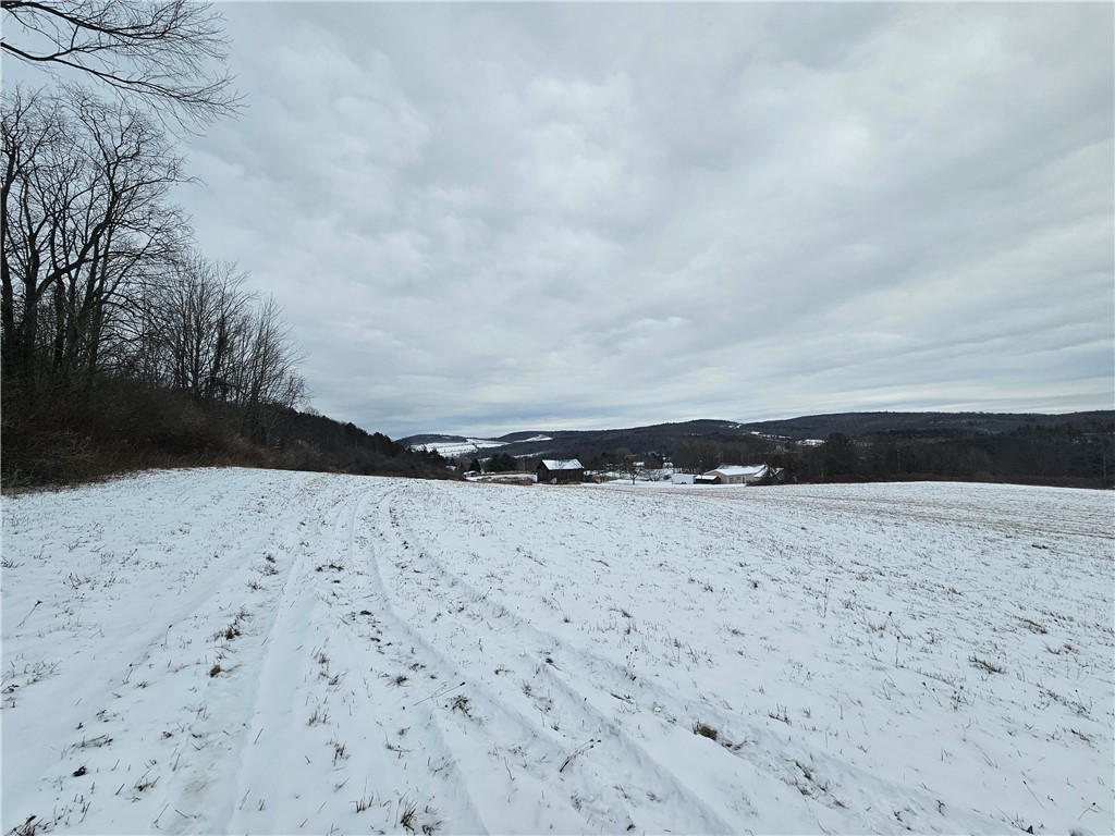 5565 Thomas Road Woodhull, NY 14898 - Photo 41 of 50