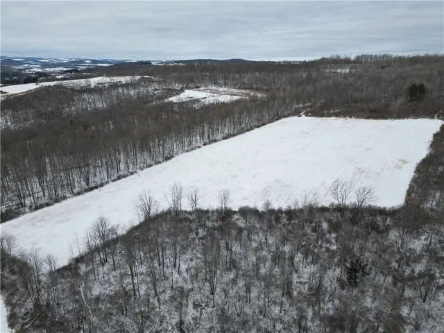 $409,900 | 5565 Thomas Road, Woodhull, NY 14898