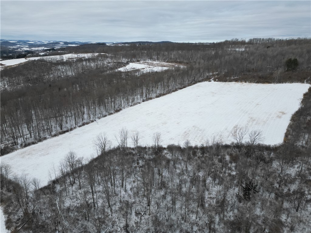 5565 Thomas Road Woodhull, NY 14898 - Photo 42 of 50