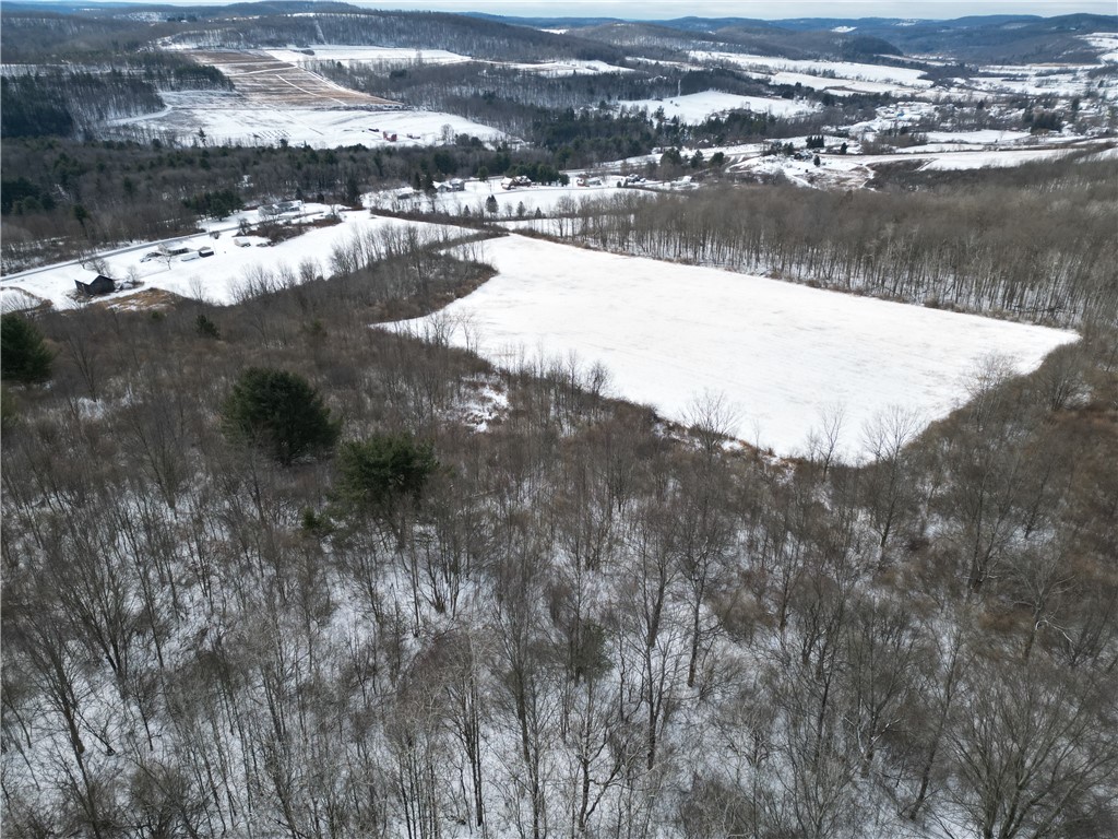 5565 Thomas Road Woodhull, NY 14898 - Photo 43 of 50