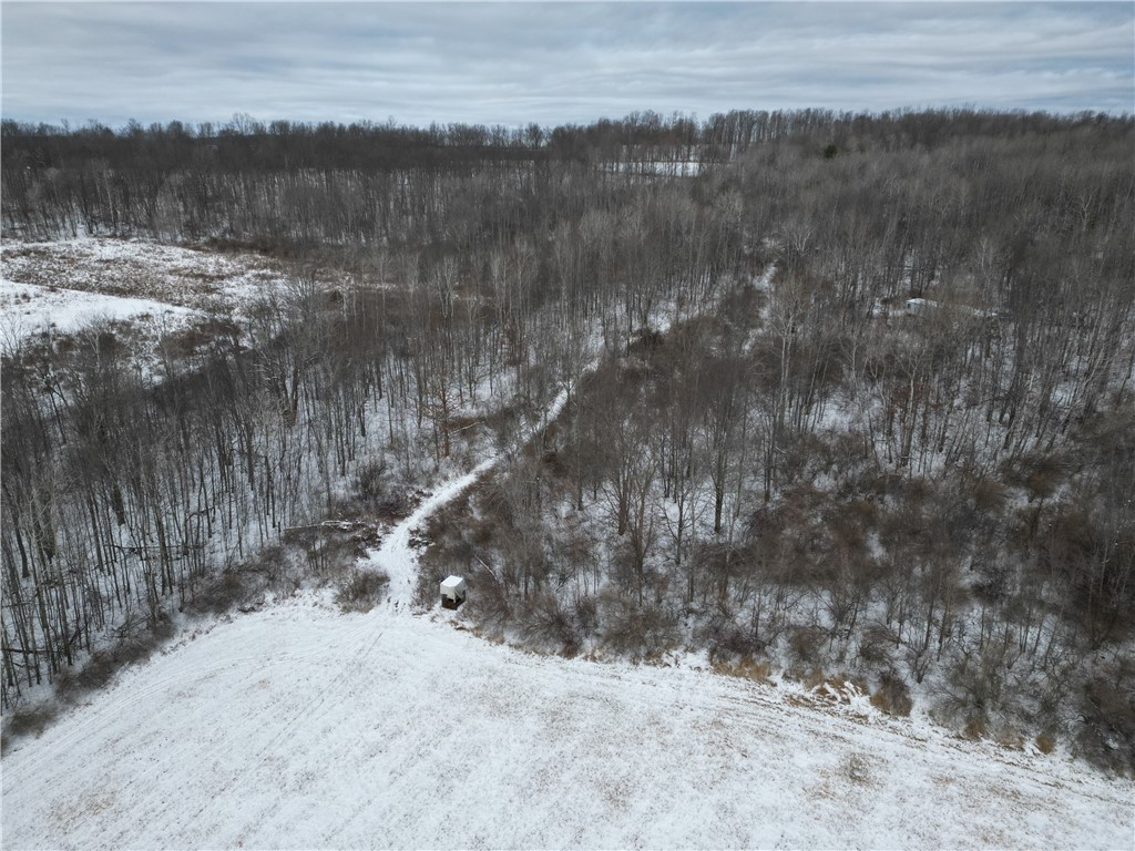 5565 Thomas Road Woodhull, NY 14898 - Photo 44 of 50