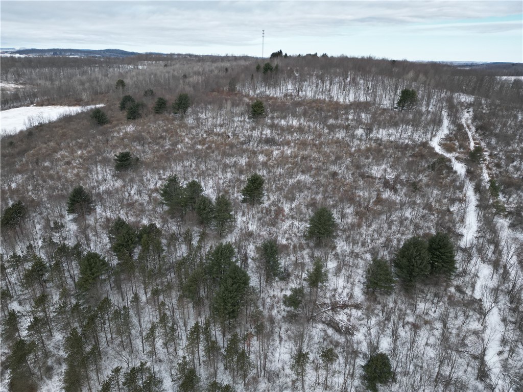 5565 Thomas Road Woodhull, NY 14898 - Photo 47 of 50