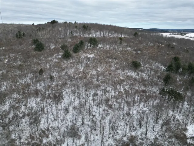 $409,900 | 5565 Thomas Road, Woodhull, NY 14898