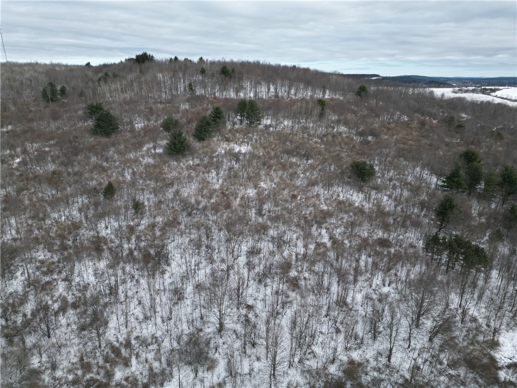 5565 Thomas Road Woodhull, NY 14898 - Photo 48 of 50