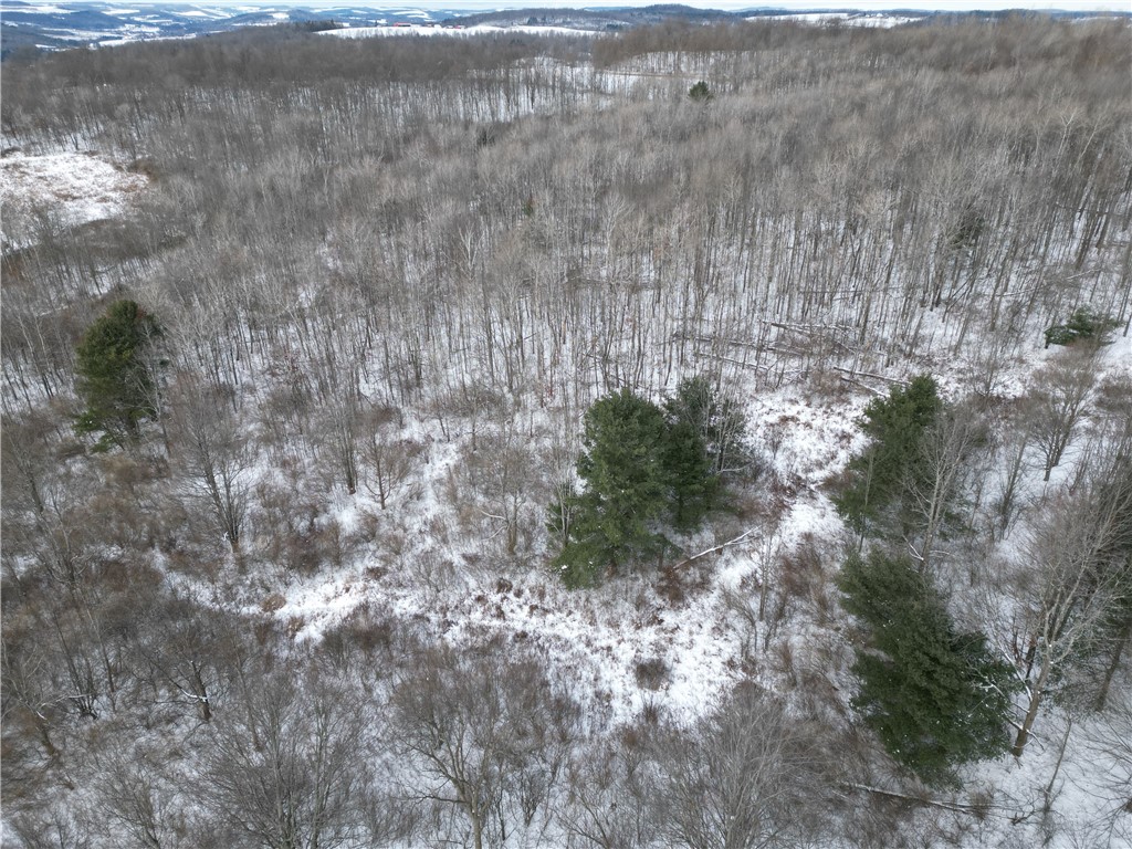 5565 Thomas Road Woodhull, NY 14898 - Photo 49 of 50