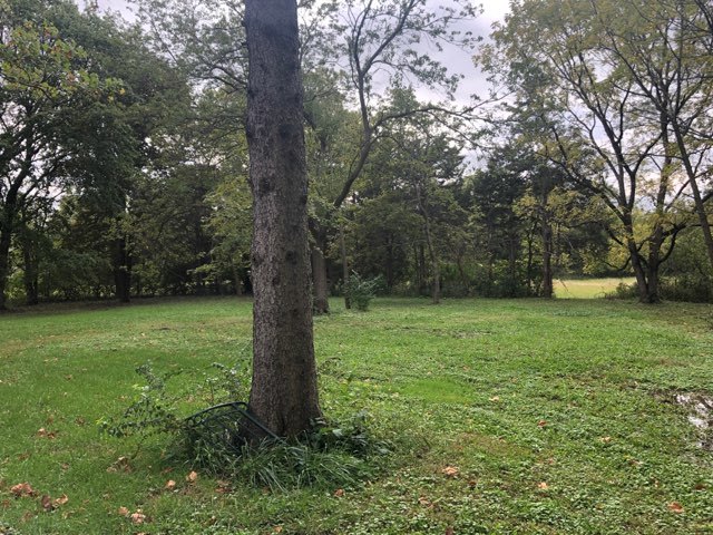 2517 East 275th Road Peru, IL 61354 - Photo 14 of 15 a view of a yard with a tree