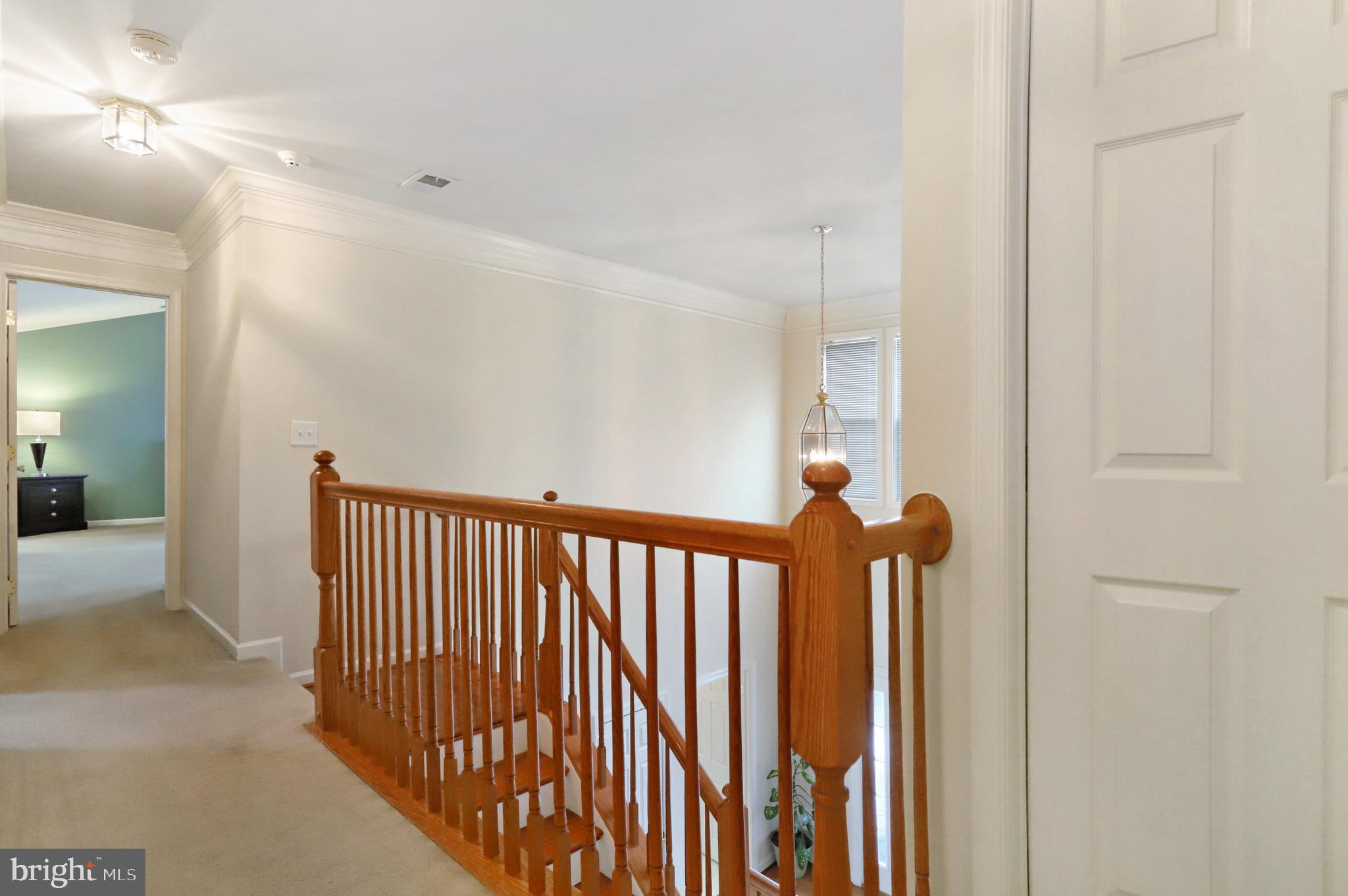 528 Rivanna Run Falling Waters, WV 25419 - Photo 13 of 32
