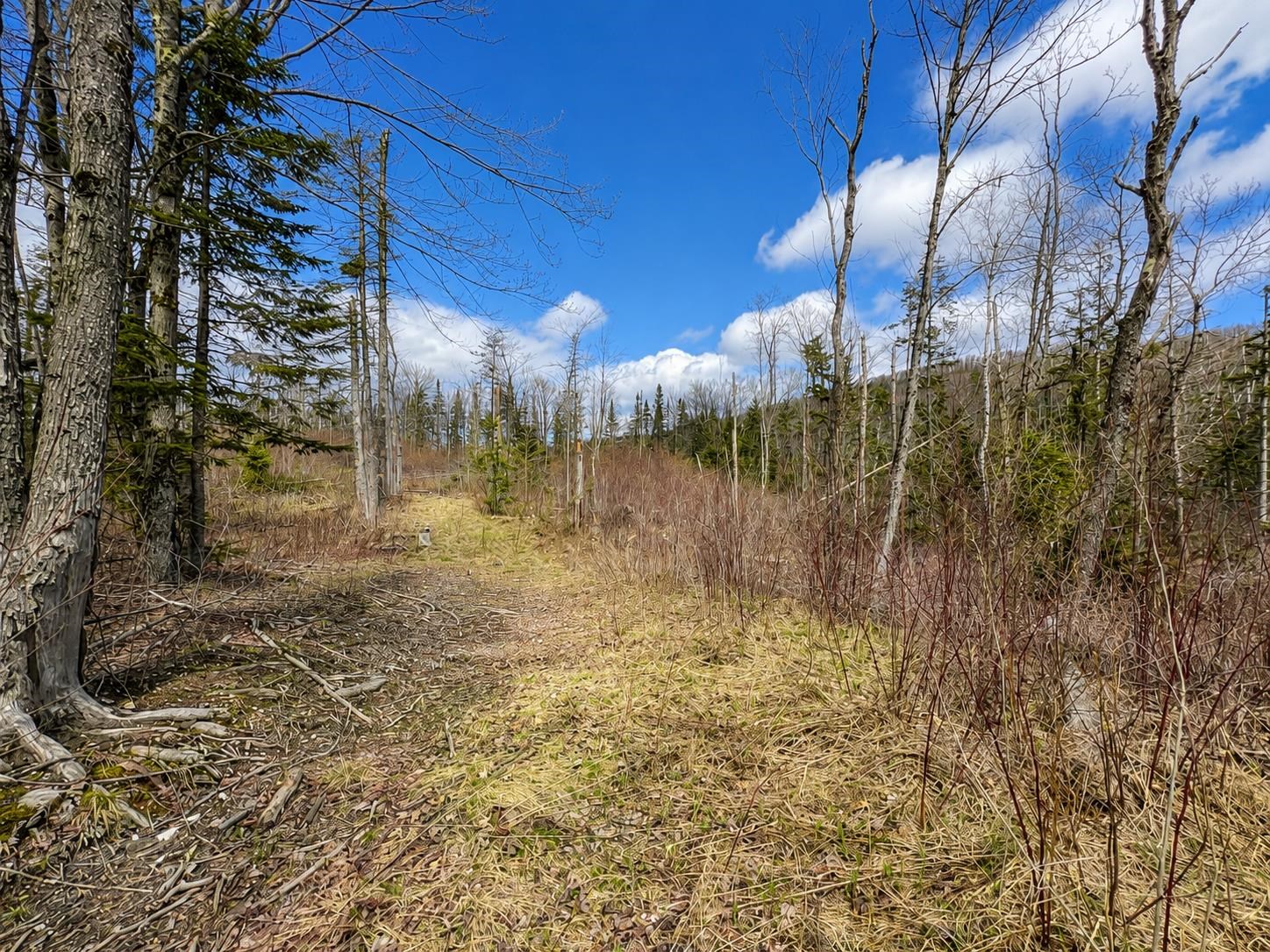 2900 Old Duck Pond Road Sheffield, VT 05866 - Photo 4 of 12