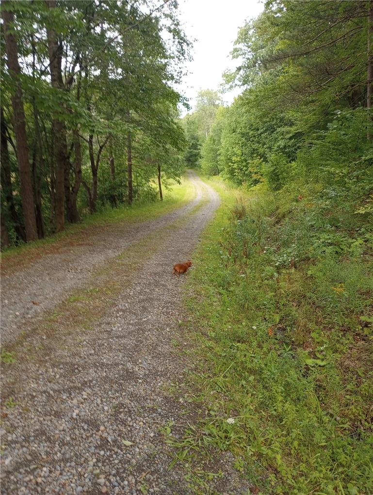 714 Pleasant Valley Road Sherburne, NY 13460 - Photo 35 of 49