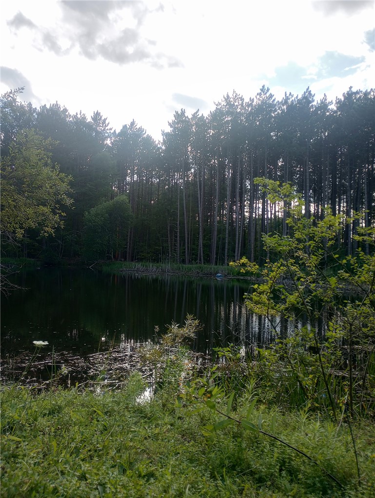 714 Pleasant Valley Road Sherburne, NY 13460 - Photo 36 of 49