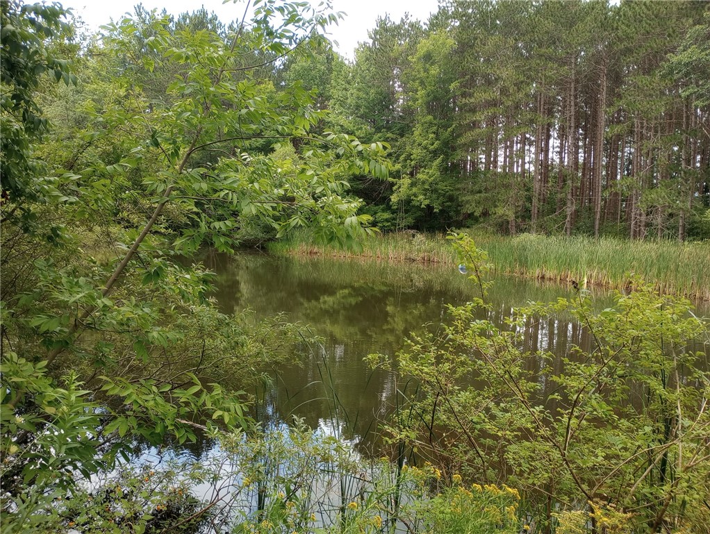 714 Pleasant Valley Road Sherburne, NY 13460 - Photo 37 of 49