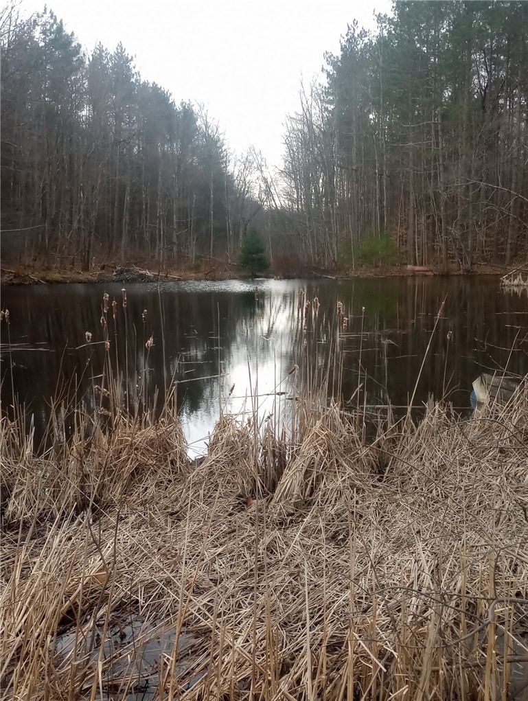 714 Pleasant Valley Road Sherburne, NY 13460 - Photo 38 of 49