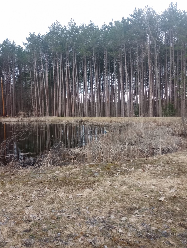 714 Pleasant Valley Road Sherburne, NY 13460 - Photo 40 of 49