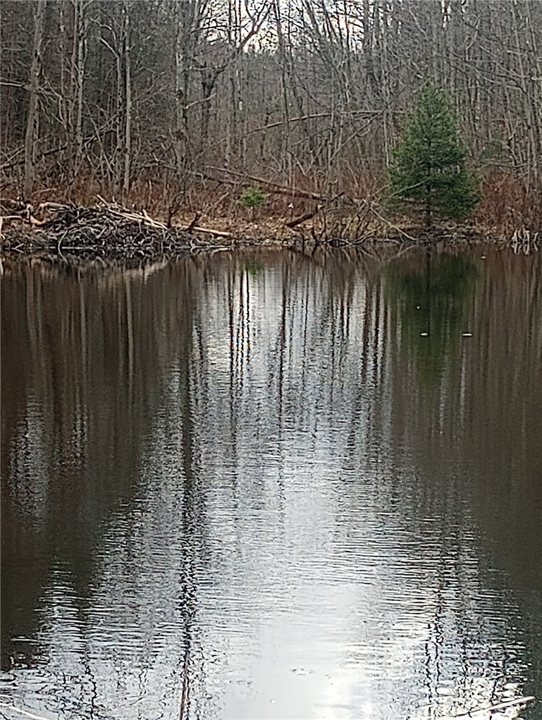 714 Pleasant Valley Road Sherburne, NY 13460 - Photo 41 of 49