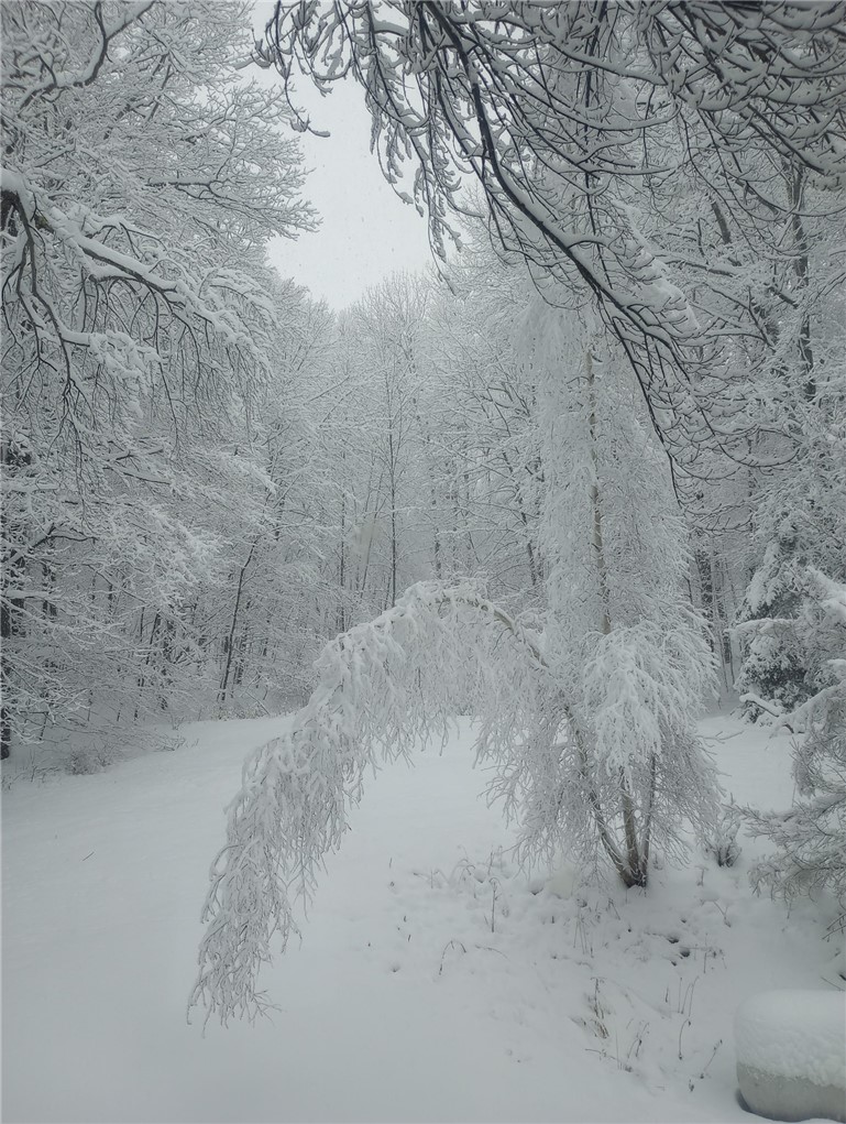 714 Pleasant Valley Road Sherburne, NY 13460 - Photo 48 of 49