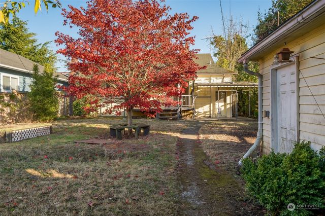 a view of a yard with plants and trees