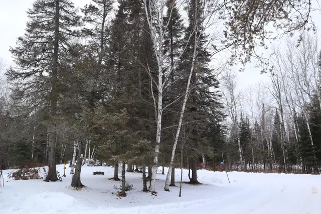 $99,500 | 15939 County Road 536, Nashwauk, MN 55769