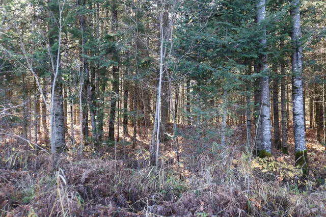 $99,500 | 15939 County Road 536, Nashwauk, MN 55769