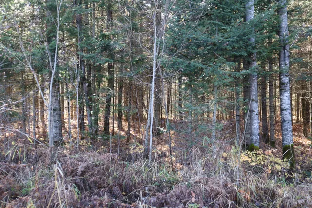 $99,500 | 15939 County Road 536, Nashwauk, MN 55769