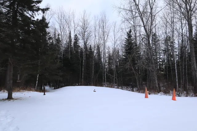 $99,500 | 15939 County Road 536, Nashwauk, MN 55769