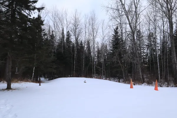 $99,500 | 15939 County Road 536, Nashwauk, MN 55769