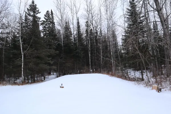 $99,500 | 15939 County Road 536, Nashwauk, MN 55769