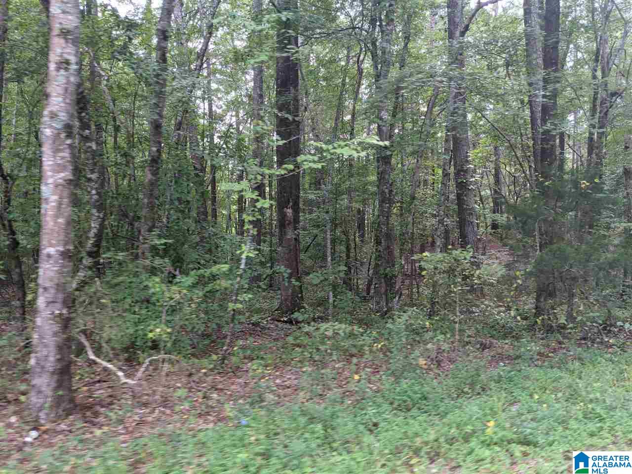 0 Smith Avenue, Unit 3 2 Anniston, AL 36207 - Photo 31 of 43