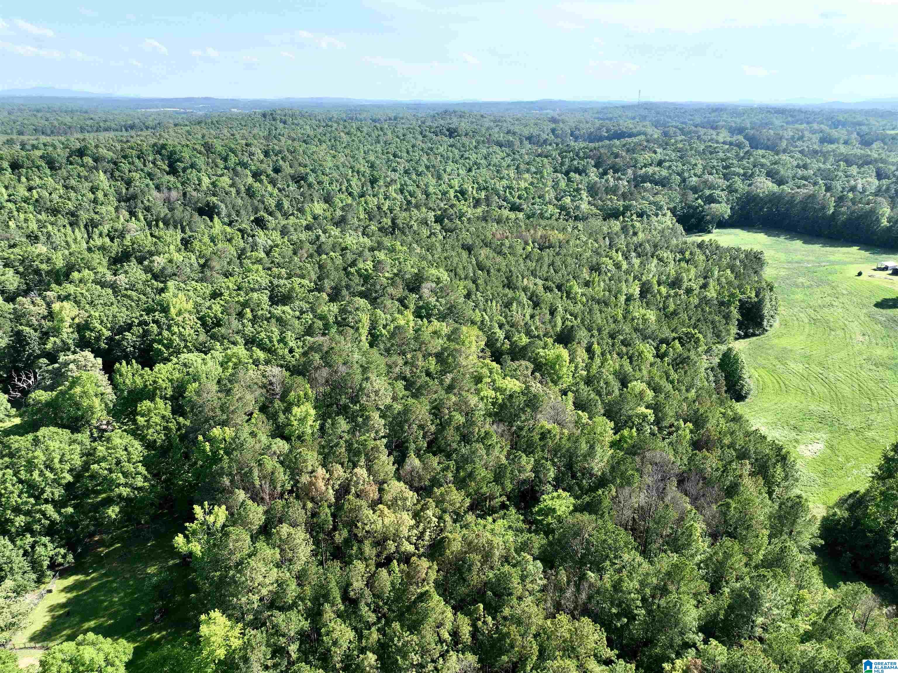 154 Deer Trace Road, Unit X Pell City, AL 35125 - Photo 6 of 6