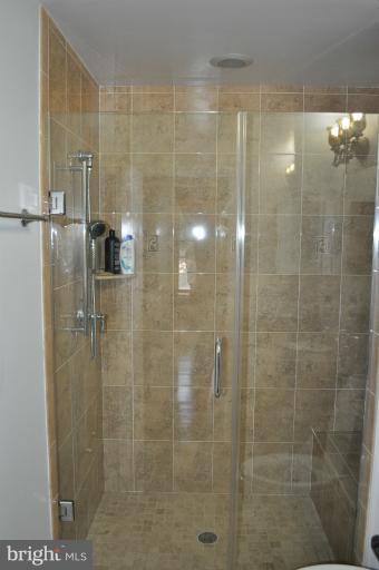 2916 Weisman Road Silver Spring, MD 20902 - Photo 13 of 19 a bathroom with a shower