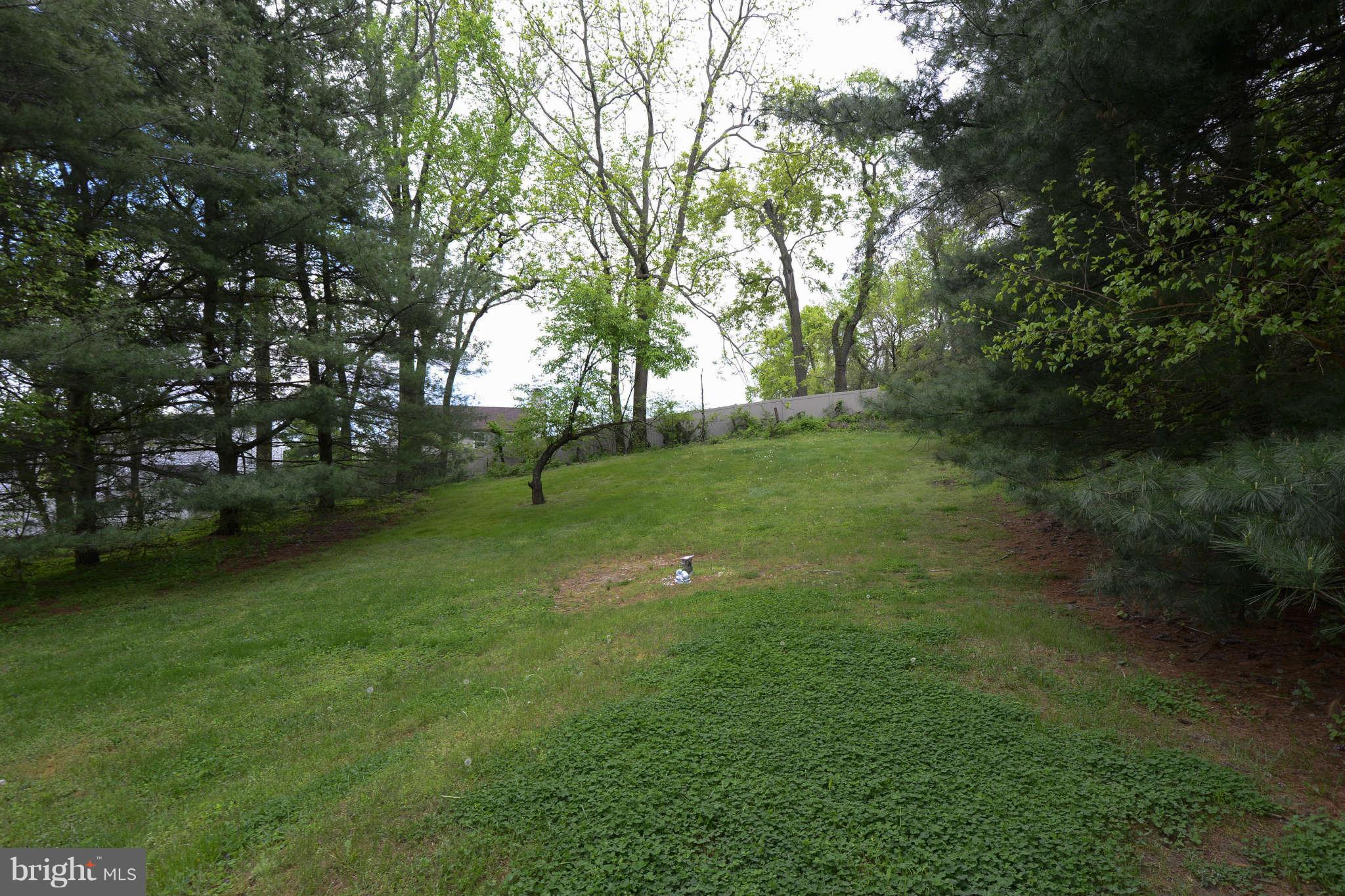 9719 Eustice Road Randallstown, MD 21133 - Photo 20 of 21 Spacious Yard