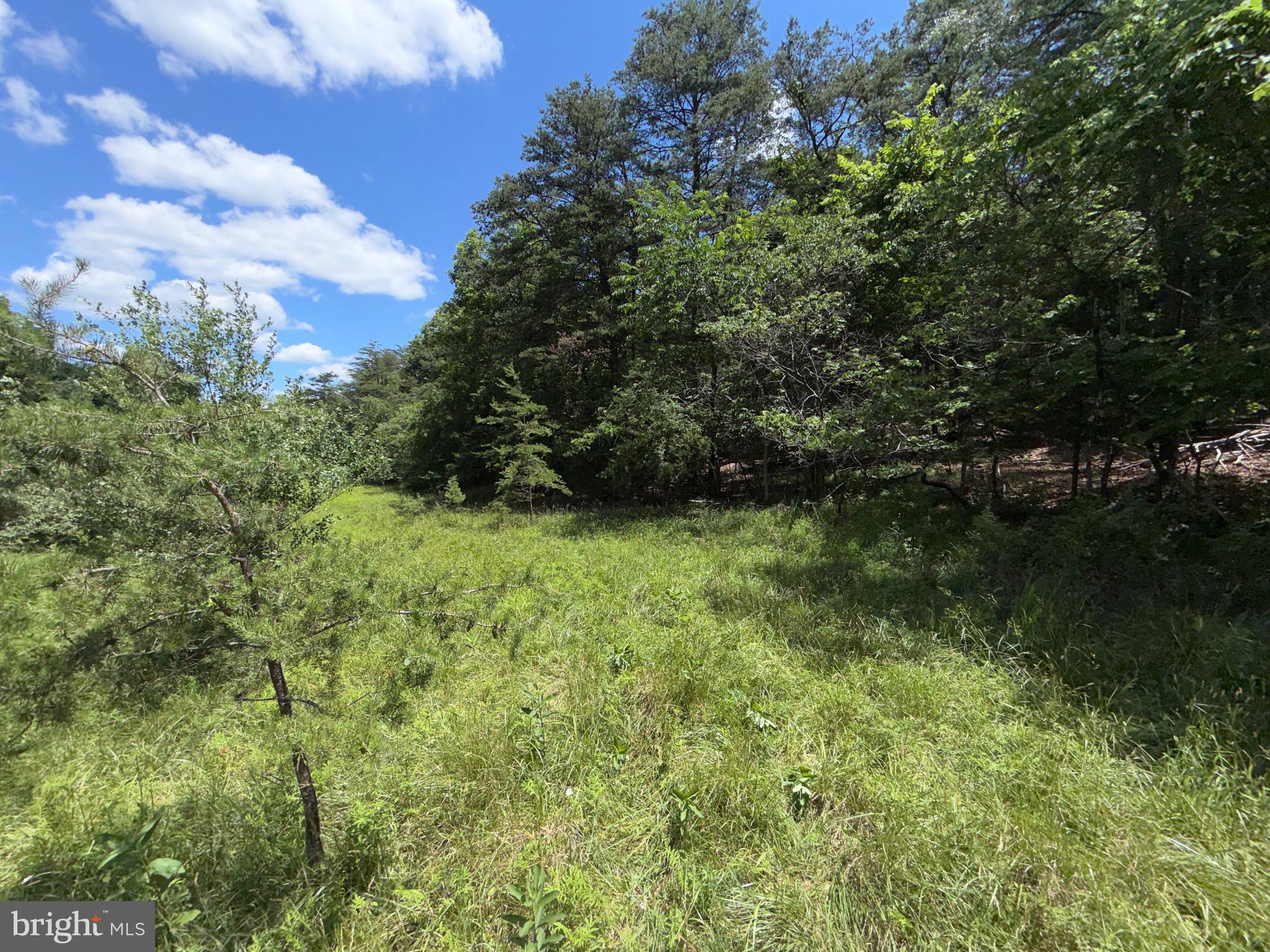 511 Chickadee Road Purgitsville, WV 26852 - Photo 34 of 99