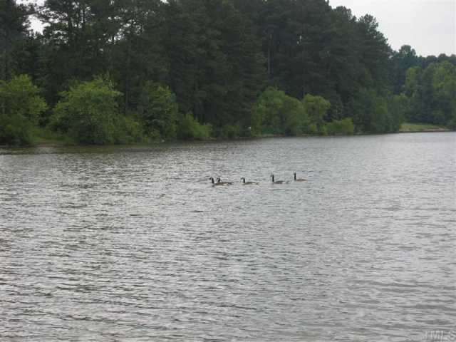 6209 Lookout Loop Raleigh, NC 27612 - Photo 11 of 12 Shelly Lake from shoreline behind home